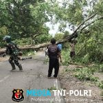 Dengan Sigap, Anggota Koramil Kismantoro Bersama Warga Singkirkan Puing Pohon Yang Tumbang