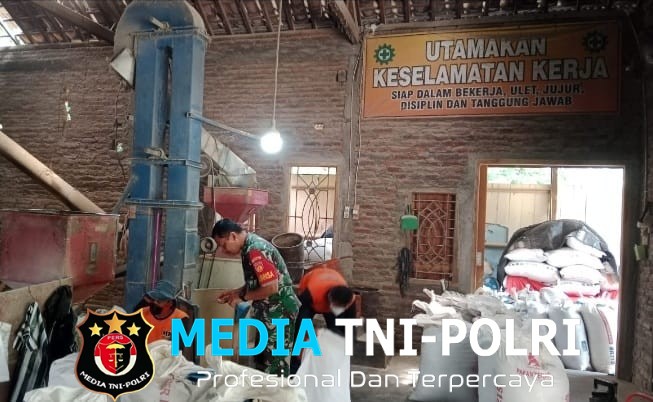 Babinsa Sambi Bangun Sinergi dengan Penggilingan Padi, Dukung Ketahanan Pangan