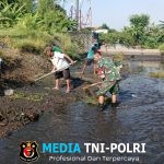 Maksimalkan Pasokan Air Pertanian, Babinsa Karangsari Dan Poktan Margomulyo Bersihkan Saluran Irigasi