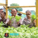 Ikuti Panen Raya, Kapolres Simalungun Semangati Warga Lapas”Jadikan Pengalaman Ini Bekal Kembali ke Masyarakat”