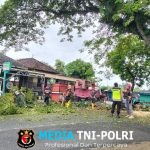 Polsek Pracimantoro Bersama TNI dan BPBD Mitigasi Pohon Rawan Tumbang di Jalur Pracimantoro-Godang