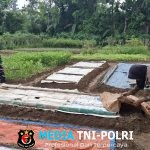 Aktif Dampingi Petani, Dari Penyiapan Lahan hingga Pascapanen Oleh Babinsa Koramil 420-04/Sarolangun