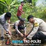 Kapolsek Donomulyo Hadiri Penanaman 360 Bibit Pohon Dukung Pelestarian Alam di Desa Mentaraman