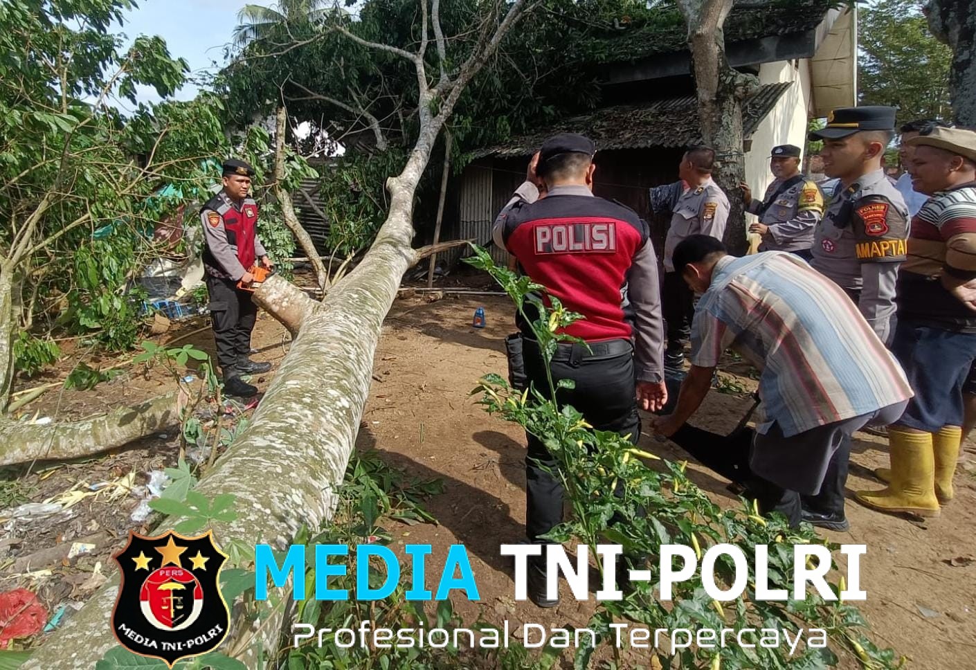 Respon Cepat Pohon Tumbang Timpa Perumahan SDN 02 Tanjung Iman, Polres Lampung Utara Lakukan Evakuasi
