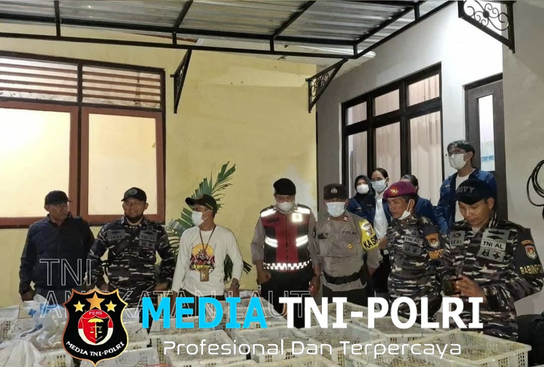 Sinergi TNI AL dan Karantina Truk Pengangkut Ribuan Satwa Liar Tanpa Dokumen Berhasil Diamankan