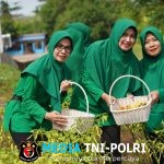 Dari Lahan Tidur Jadi Lahan Produktif, Danrem 174/ATW Panen Cabai Bersama Prajurit dan Persit  ‎