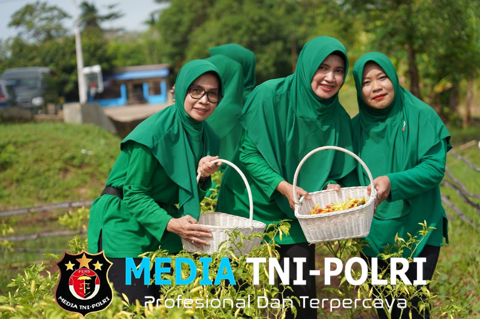 Dari Lahan Tidur Jadi Lahan Produktif, Danrem 174/ATW Panen Cabai Bersama Prajurit dan Persit  ‎