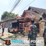 Babinsa Karangtengah, Sigap Bantu Evakuasi Rumah Warga Tertimpa Pohon Tumbang Akibat Angin Kencang