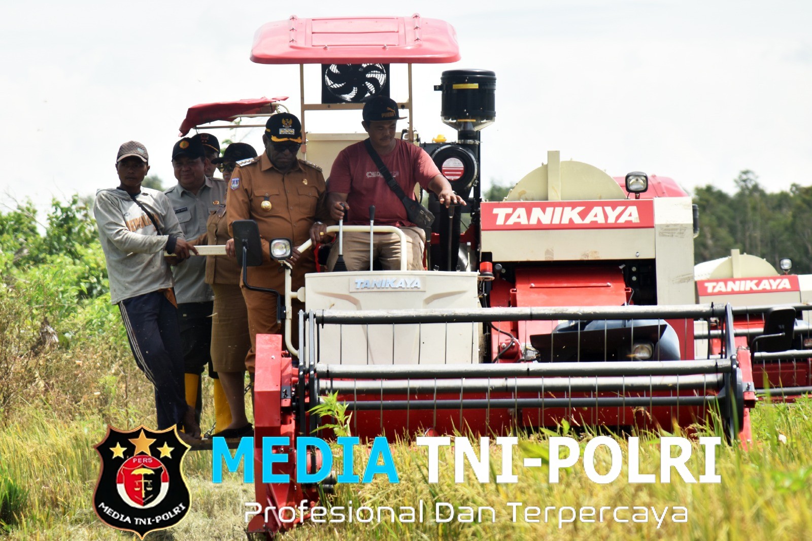 Dandim Merauke Bersama Bupati Laksanakan Panen Raya, Wujud Nyata Dukung Swasembada Pangan