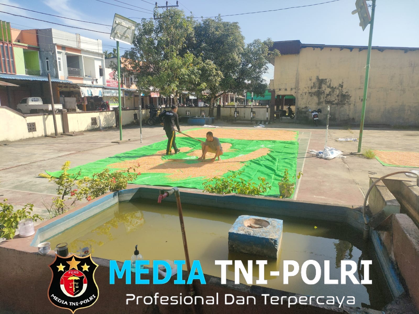 Dukung Ketahanan Pangan Nasional, Personel Polsek Mempawah Hulu Laksanakan Penjemuran Jagung