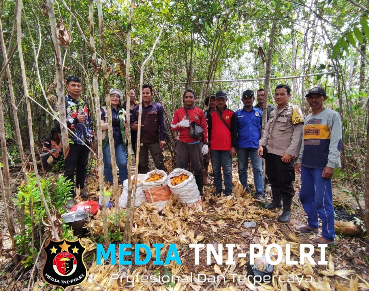 Bintara Penggerak Desa Sungai Keli Aipda Susanto Atung Hadiri Panen Perdana Jagung Program 1 Desa 1 Hektar