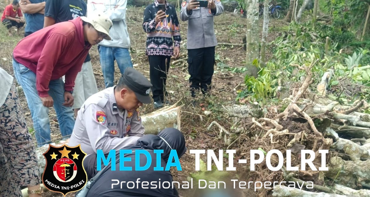 Polsek Sumberejo Identifikasi Korban Meninggal Dunia Tertimpa Pohon di Kebun Warga