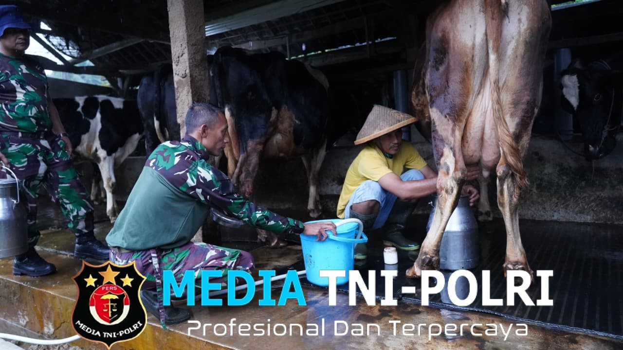 TMMD Ke 127 Tak Hanya Bangun Rumah, Jembatan Dan Jalan, Prajurit TNI Turut Juga Bantu Warga Perah Susu Sapi