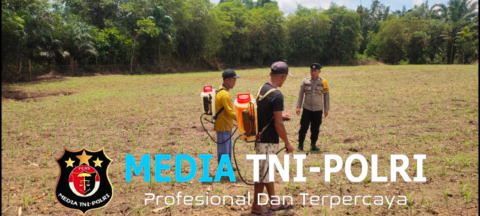 Bintara Penggerak Desa Tunang Pantau Perkembangan Jagung Petani