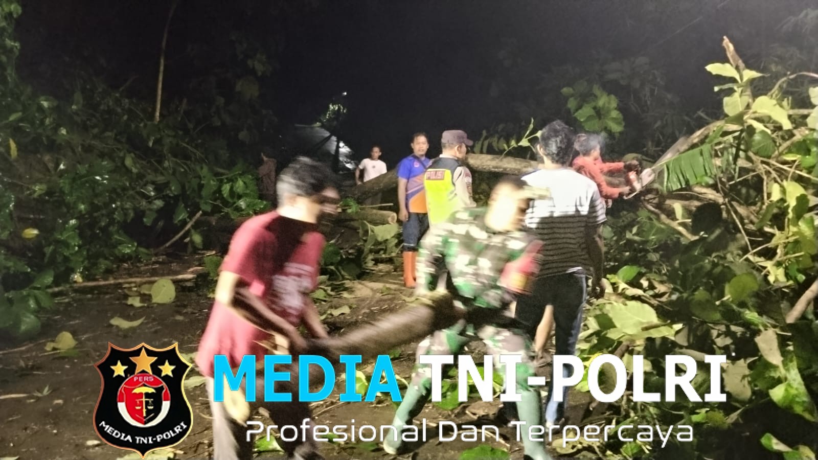 Pohon Tumbang Tutup Jalan Simo–Klego, Babinsa dan Warga Bergerak Cepat Selamatkan Akses