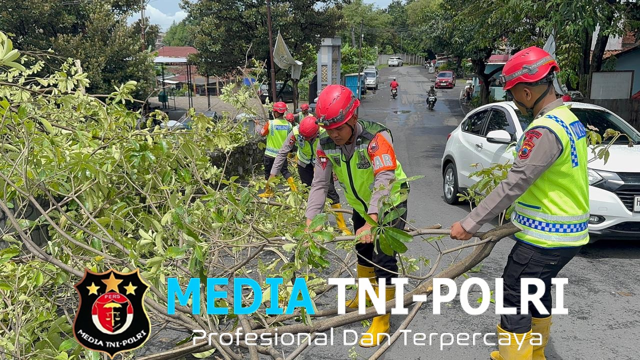 Gerak Cepat Brimob Simongan Evakuasi Pohon Tumbang di Jl. WR Supratman, Akses Jalan dan Masjid At Taqwa Kembali Aman