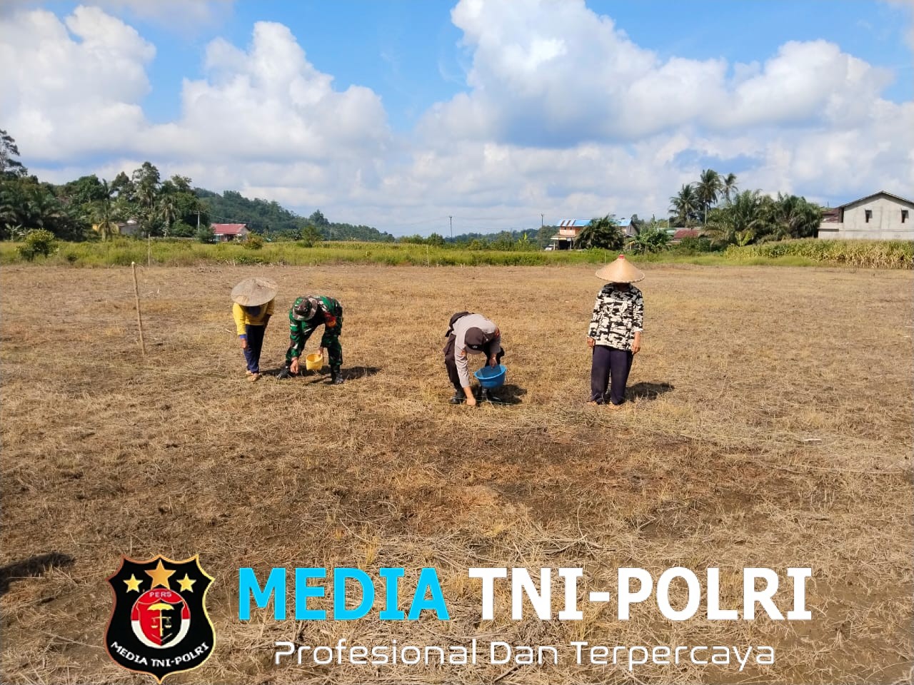 Bintara Penggerak Desa Sei Laki Laksanakan Tanam Jagung Bersama Petani