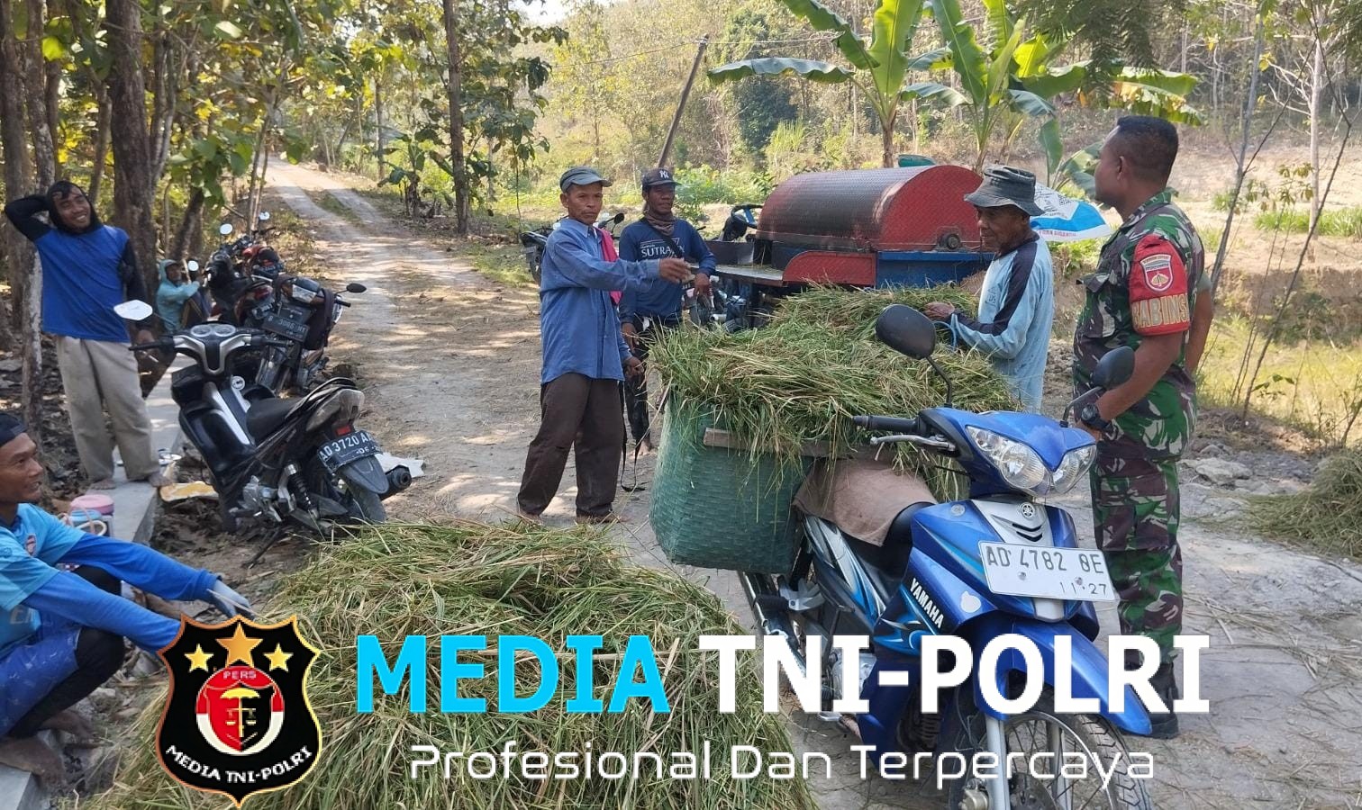 Babinsa Datangi Petani yang Sedang Panen Padi, Wujud Kepedulian di Tengah Sawah