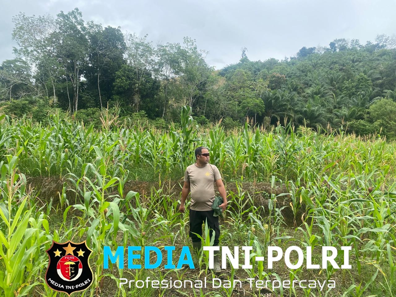 Pengecekan Progres Jagung Mandiri di Dusun Janjank, Sinergi Polisi dan BUMDes Dorong Ketahanan Pangan