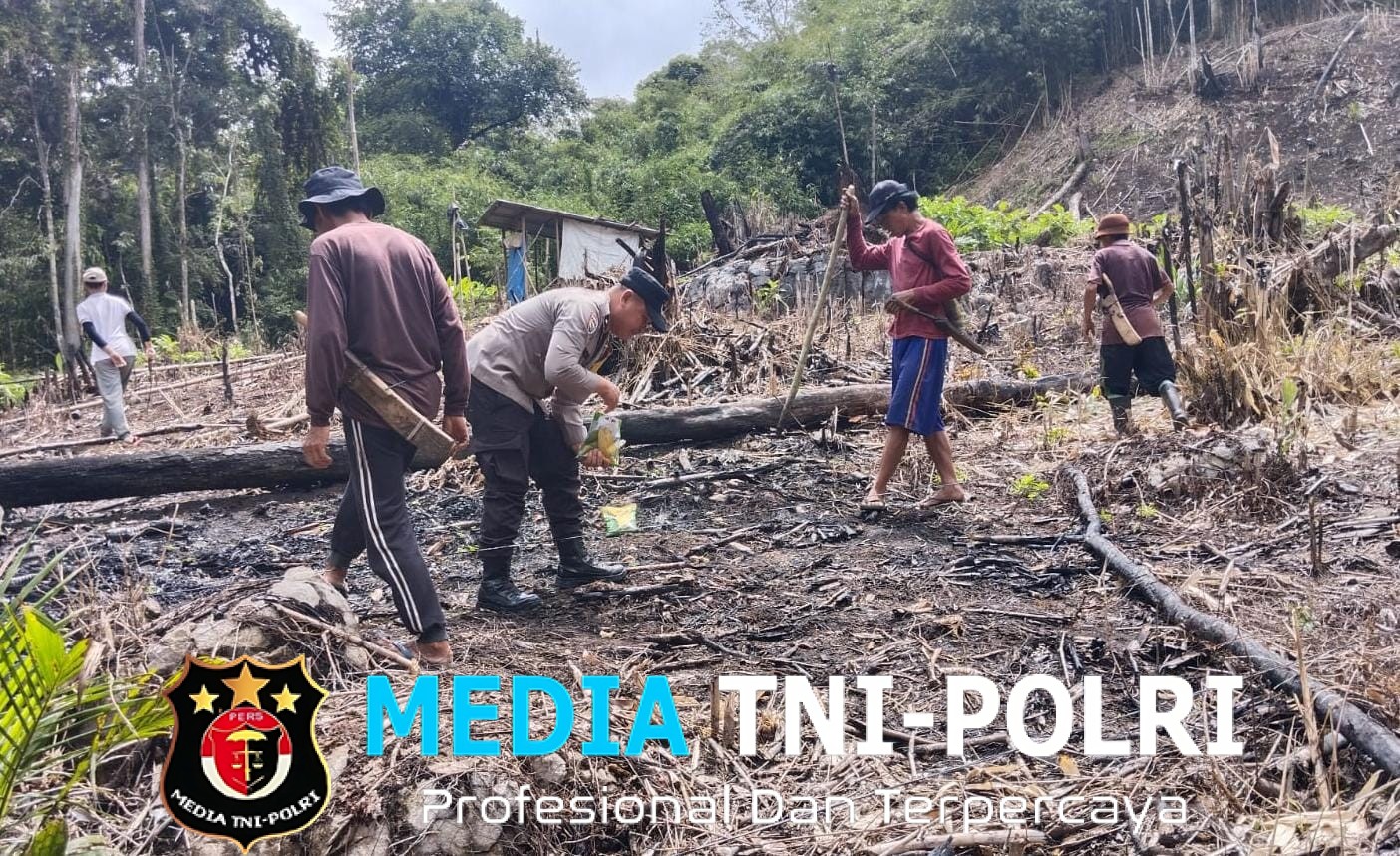 Bhabinkamtibmas Dampingi Tanam Jagung Mandiri di Desa Pawis Hilir, Dukung Program Ketahanan Pangan Nasional