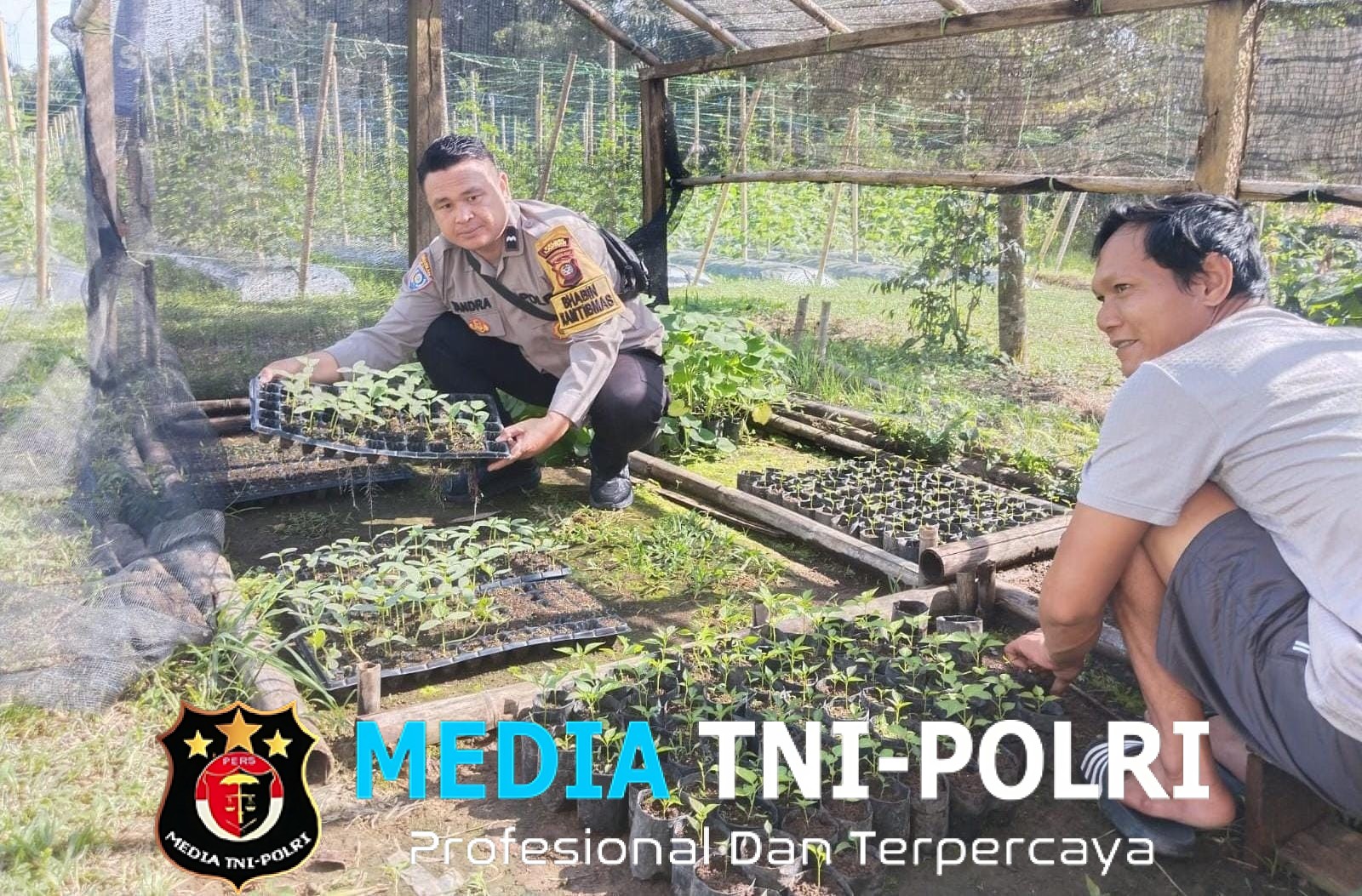 Bintara Penggerak Desa Dukung Program Pekarangan Pangan Bergizi di Pawis Hilir