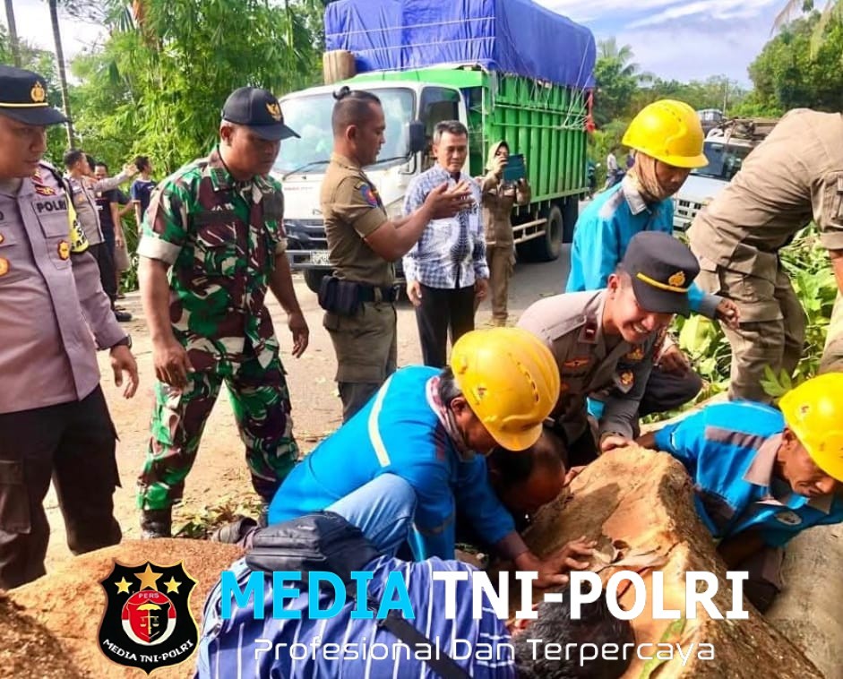 Akses Jalan Terhalang Pohon Besar Tumbang, Babinsa dan Polri Sigap Buka Akses Lintas Jambi–Sarolangun
