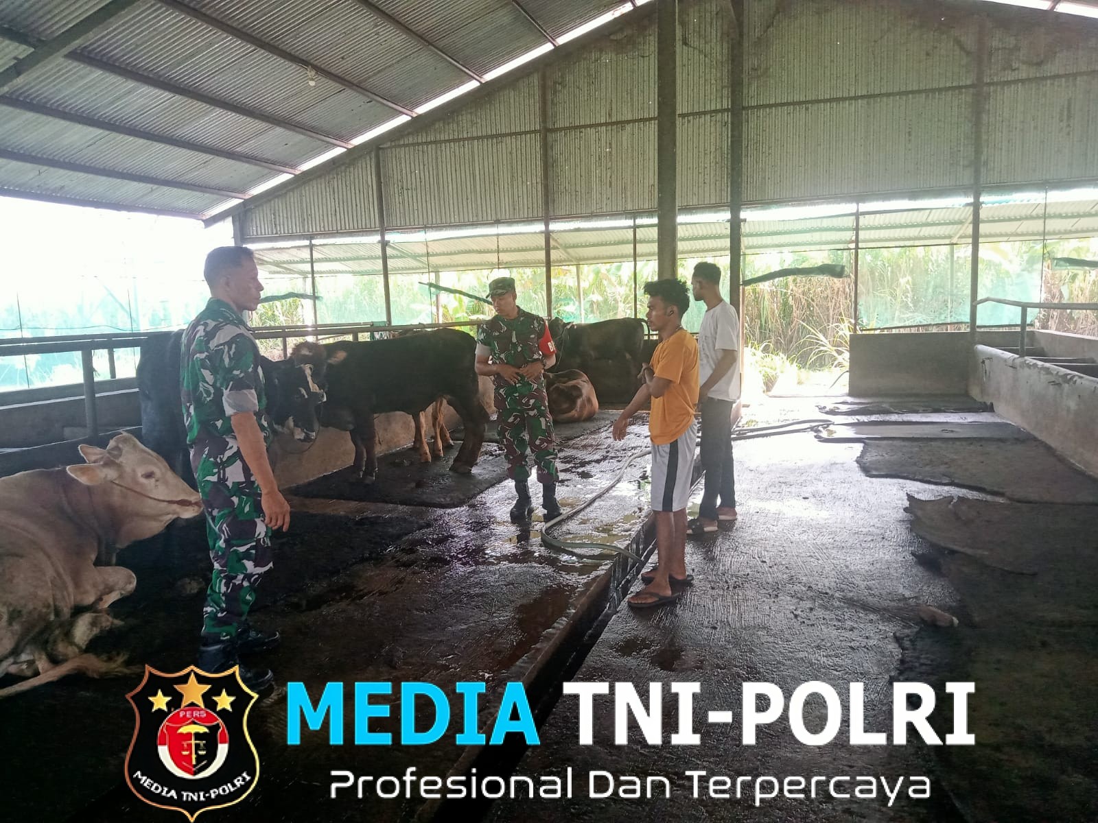 Peternak, Waspadai Gejala PMK Menyerang Ternak