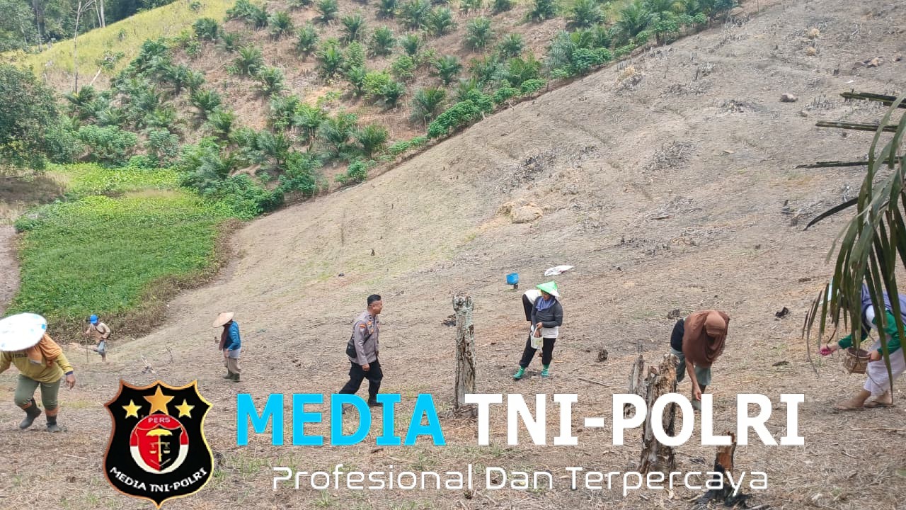 Bhabinkamtibmas Polsek Menyuke Memantau Kegiatan Tanam Jagung Warga Di Desa Untang