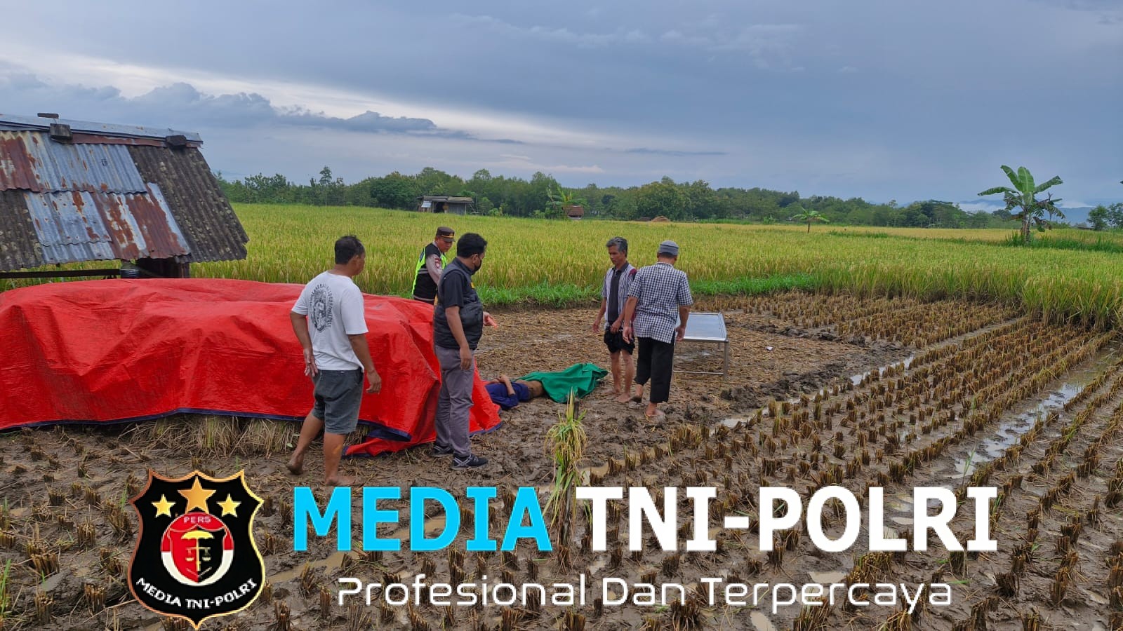 Warga Baturetno Meninggal Dunia Saat Panen Padi, Polsek Pracimantoro Gerak Cepat Lakukan Penanganan
