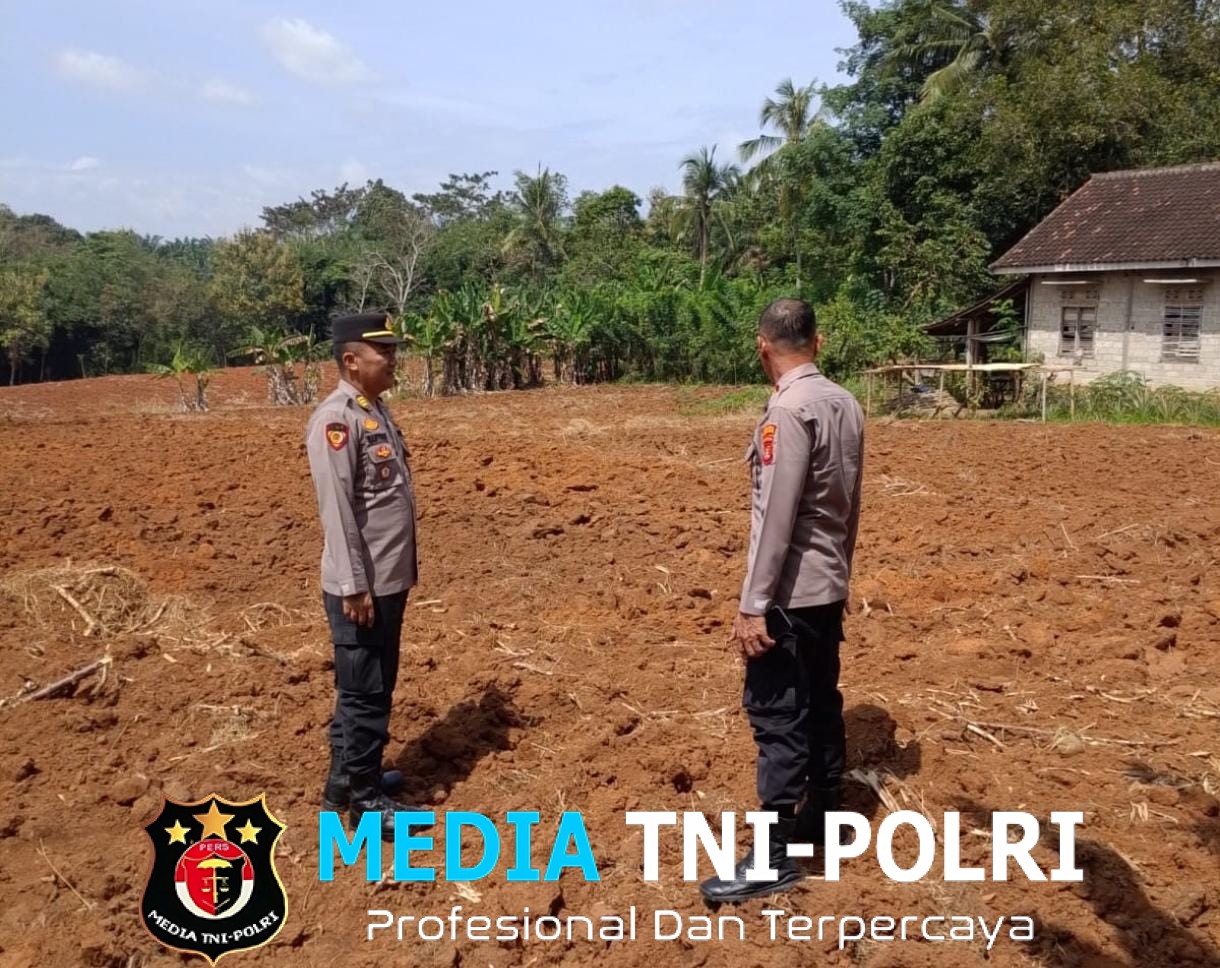 Dukung Ketahanan Pangan, Polres Lampung Utara Cek Lahan Tanam Jagung Serentak di Kotabumi Utara