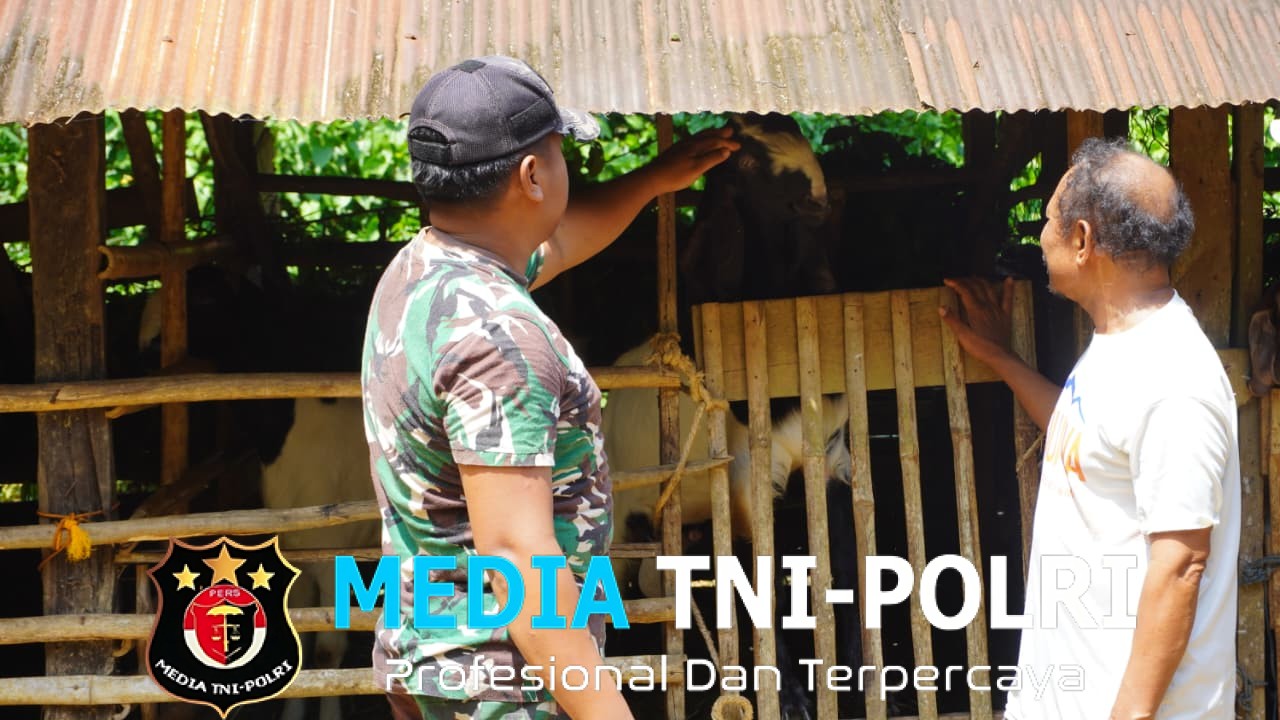 Satgas TMMD Reguler ke-127 Kodim 1015/Sampit Komsos Dengan Sutarman Peternak Kambing Desa Tri Buana