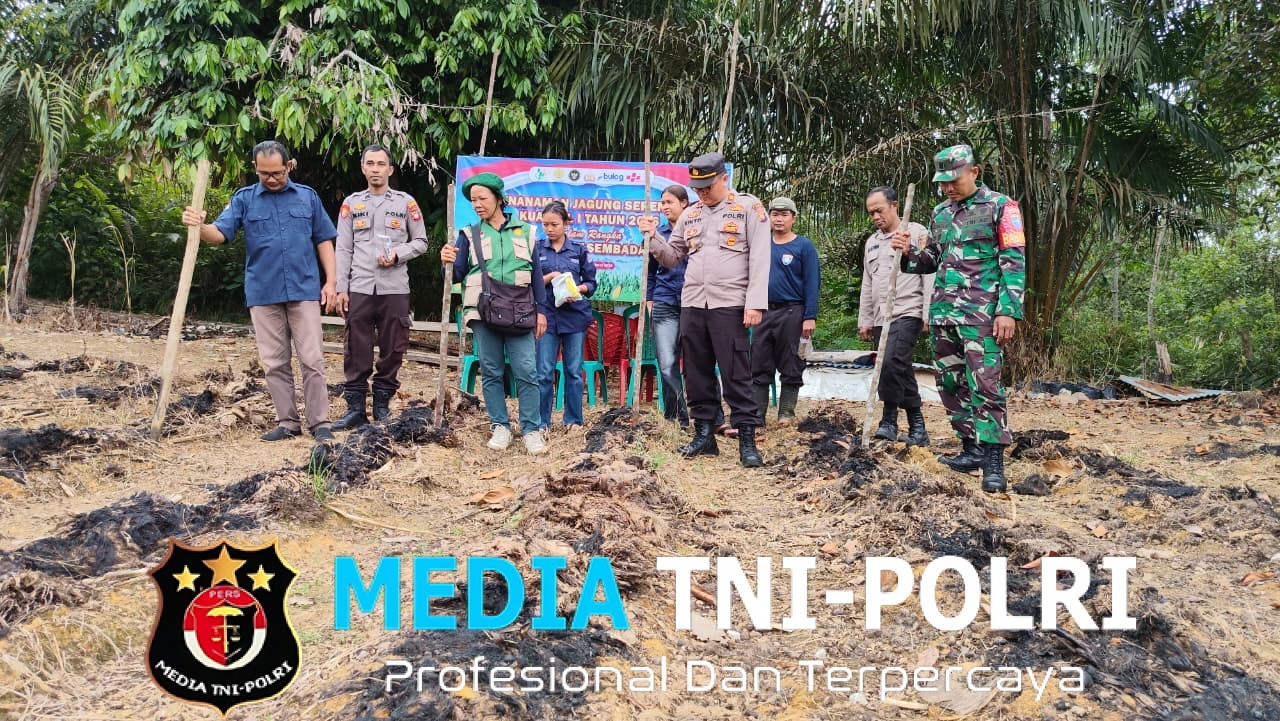 Polsek Ngabang Dan Polsubsektor Jelimpo Laksanakan Penanaman Bibit Jagung Serentak Kuartal I TH 2026