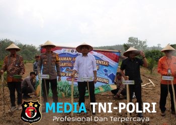 Polres Mesuji Melaksanakan Penanaman Jagung Serentak Kuartal I Tahun 2026 di Desa Jaya Sakti