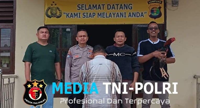 Polsek Pugung Ungkap Kasus Pencurian Ayam Bangkok, Pelaku asal Talang Padang Ditangkap
