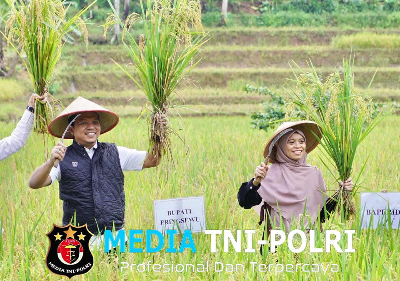 Bupati Pringsewu Riyanto Pamungkas Hadiri Panen Raya Padi Sehat Kelompok Tani Mina Raharja