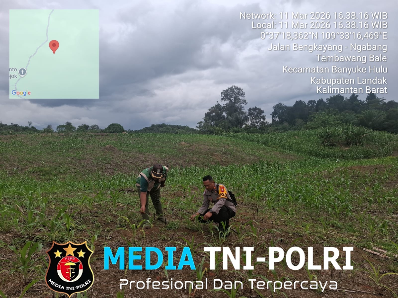 Kapolsek Menyuke Beserta Kepala BPP Banyuke Hulu Lakukan Pengecekan Tanaman Jagung Ke Desa Ringo Lojok