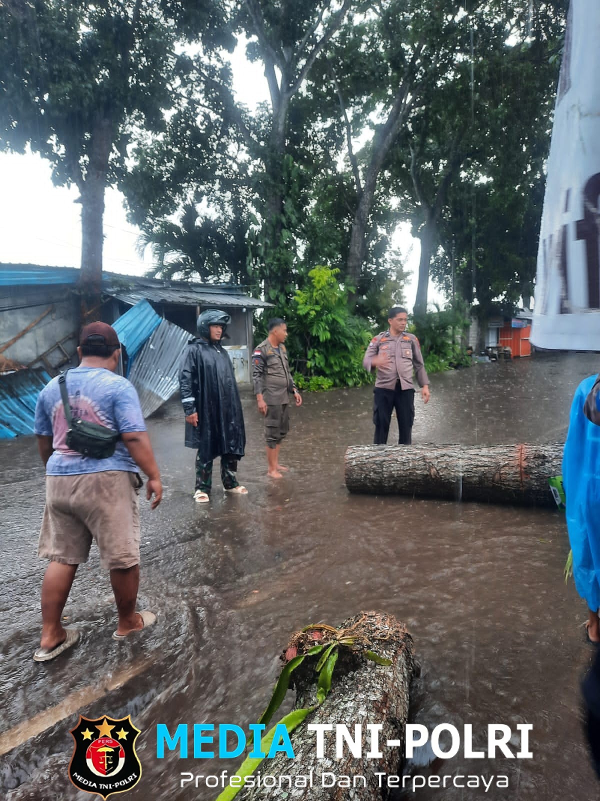 Angin Kencang Tumbangkan Pohon fi Desa Gambiran, Babinsa Desa Gambiran Koramil 0825/06 Gambiran bertindak Cepat Evakuasi Jalur