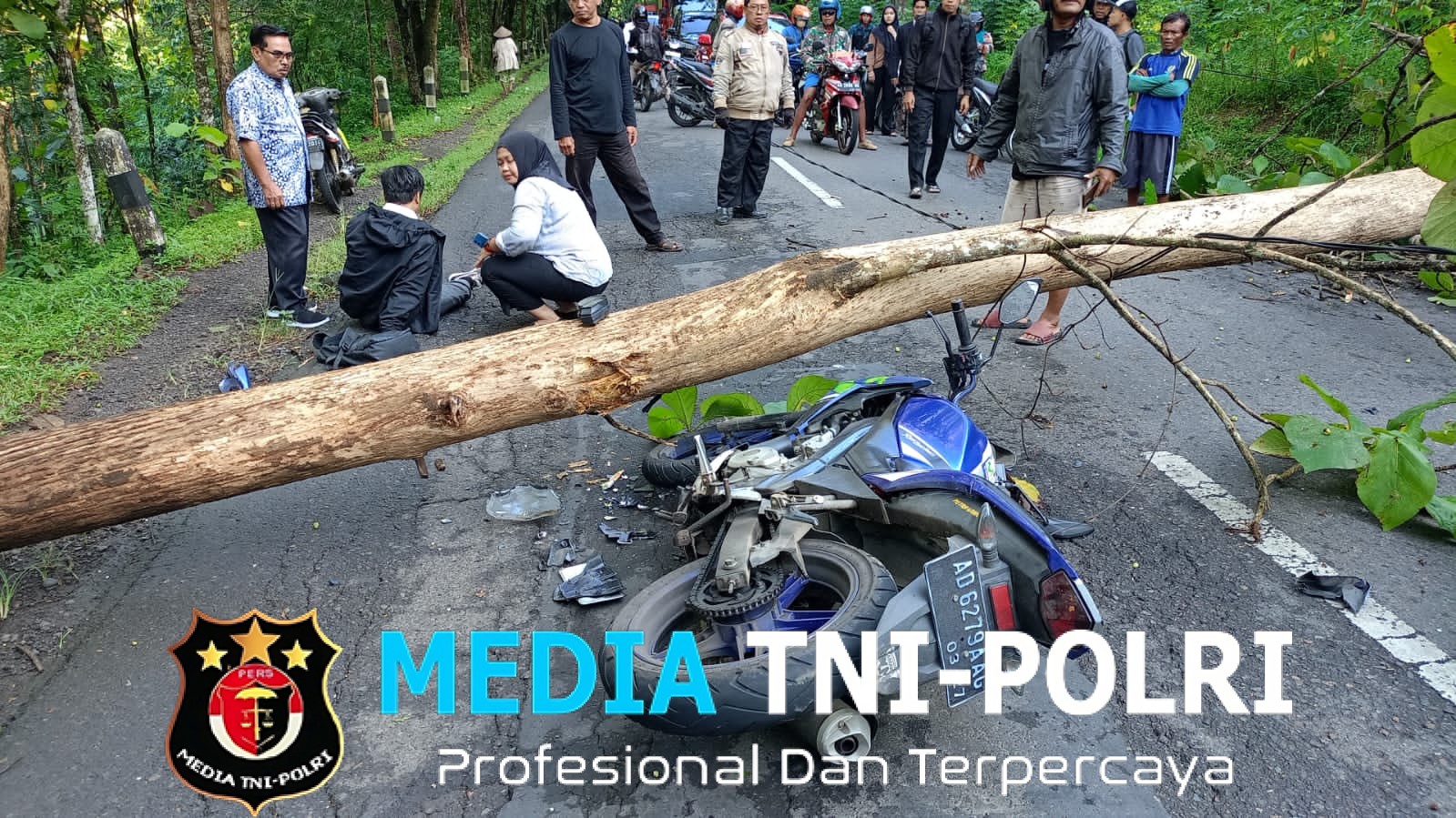 Pengendara Motor Luka-Luka Akibat Tabrak Pohon Tumbang di Nguntoronadi