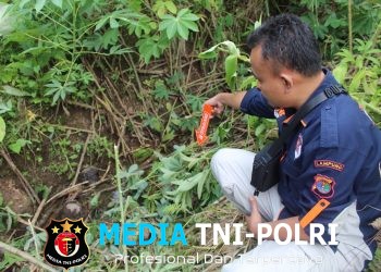 Polres Tanggamus Amankan Pelaku Penganiayaan Hingga Meninggal Dunia di Wonosobo