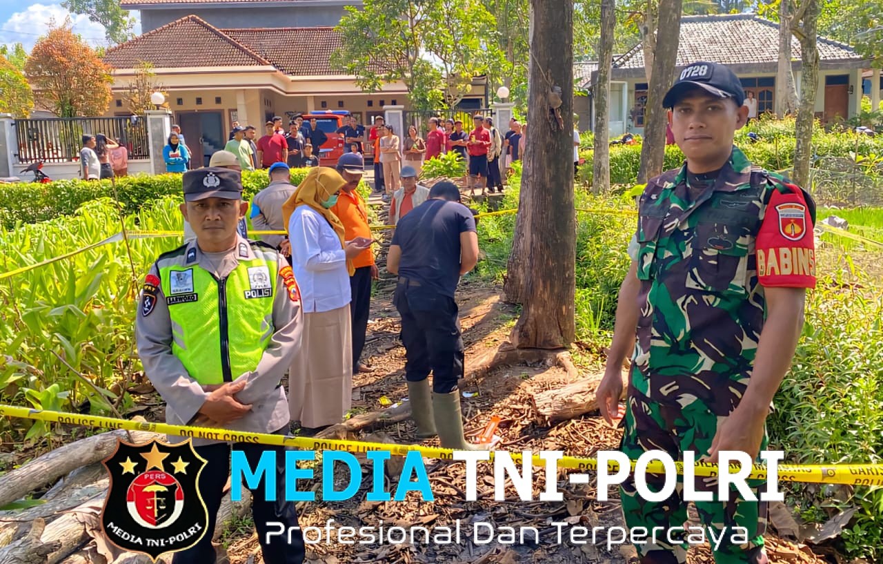Penemuan Mayat Bayi di Perkebunan Warga Jatiroto, Polisi Lakukan Penyelidikan