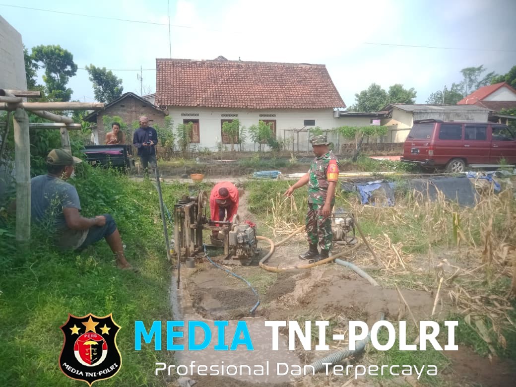 Dukung Ketahanan Pangan, Babinsa Aktif Dampingi Petani Desa Binaan