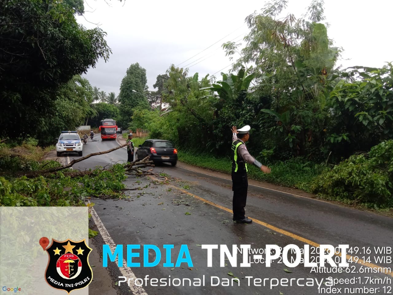 Sigap Tangani Pohon Tumbang, Satlantas Polres Lampung Utara Lakukan Pengaturan Lalu Lintas di Jalinsum