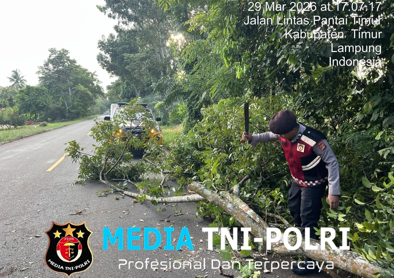 Respon Cepat Sat Samapta Polres Lampung Timur Evakuasi Pohon Tumbang, Akses Lintas Timur Sukadana Kembali Lancar
