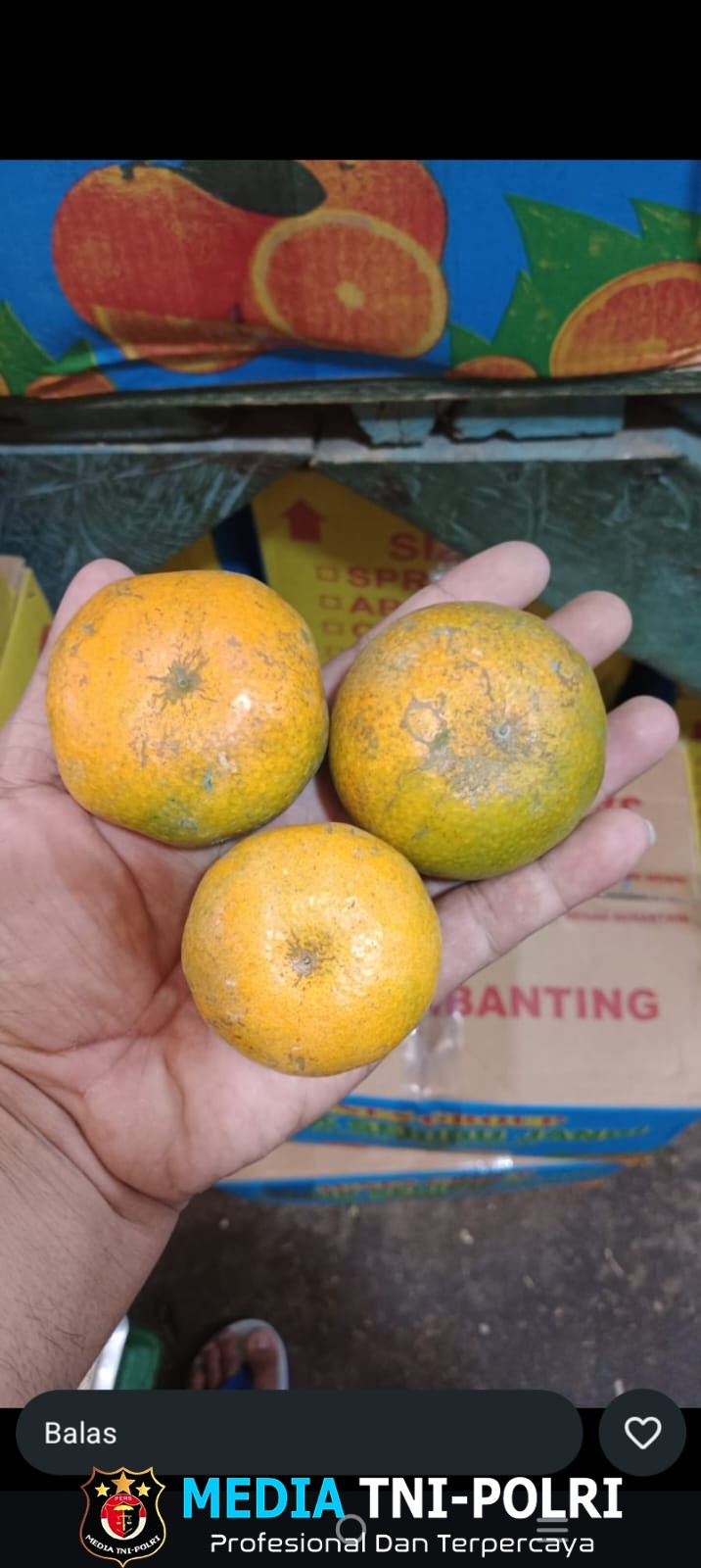 Harga Buah di Pasar Induk Kramat Jati Melonjak, Pedagang dan Masyarakat Kecil Tercekam