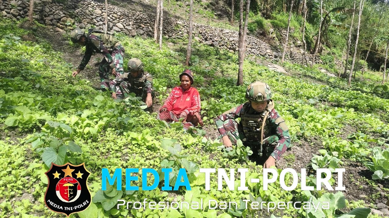 Menanam Harapan di Tanah Papua, Satgas Yonif 521/DY Bantu Warga Berkebun di Kurima