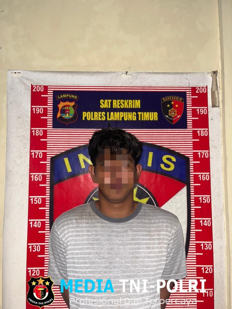 Nenek Lapor Polisi, Cucu Ditangkap karena Curi Bibit Jagung Puluhan Juta Rupiah