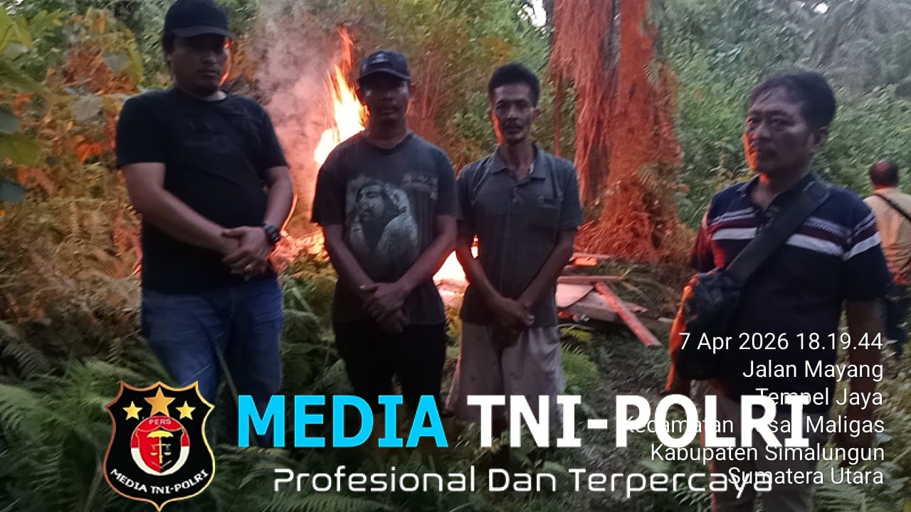 Tanpa Kompromi! Polsek Bosar Maligas Gerebek, Rubuhkan Dan Bakar Habis Lapak Narkoba Di Perladangan Nagori Boluk