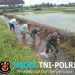 Sinergi Babinsa Dan Masyarakat Desa Pojok Bersihkan Irigasi Demi Pertanian Lancar