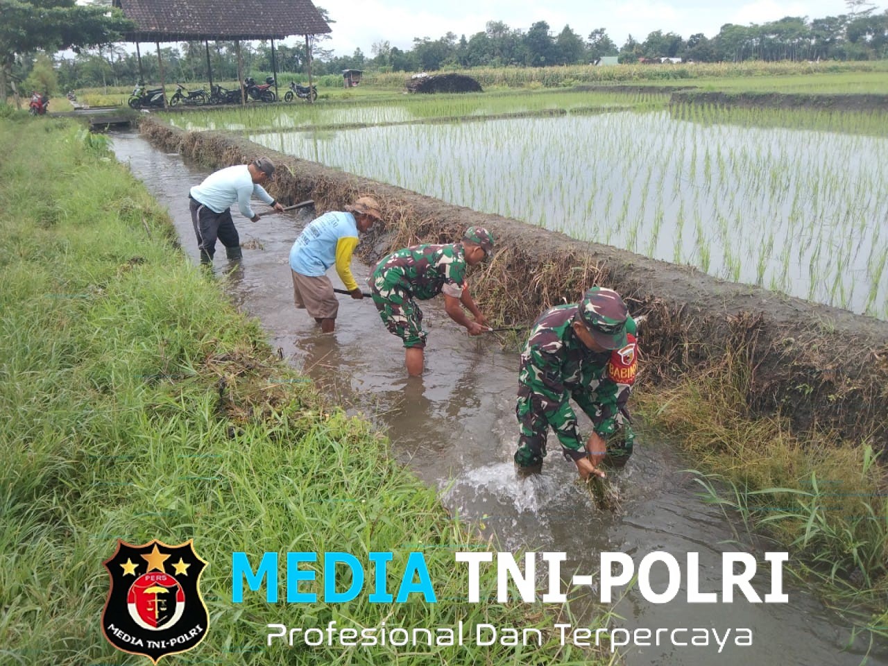 Sinergi Babinsa Dan Masyarakat Desa Pojok Bersihkan Irigasi Demi Pertanian Lancar