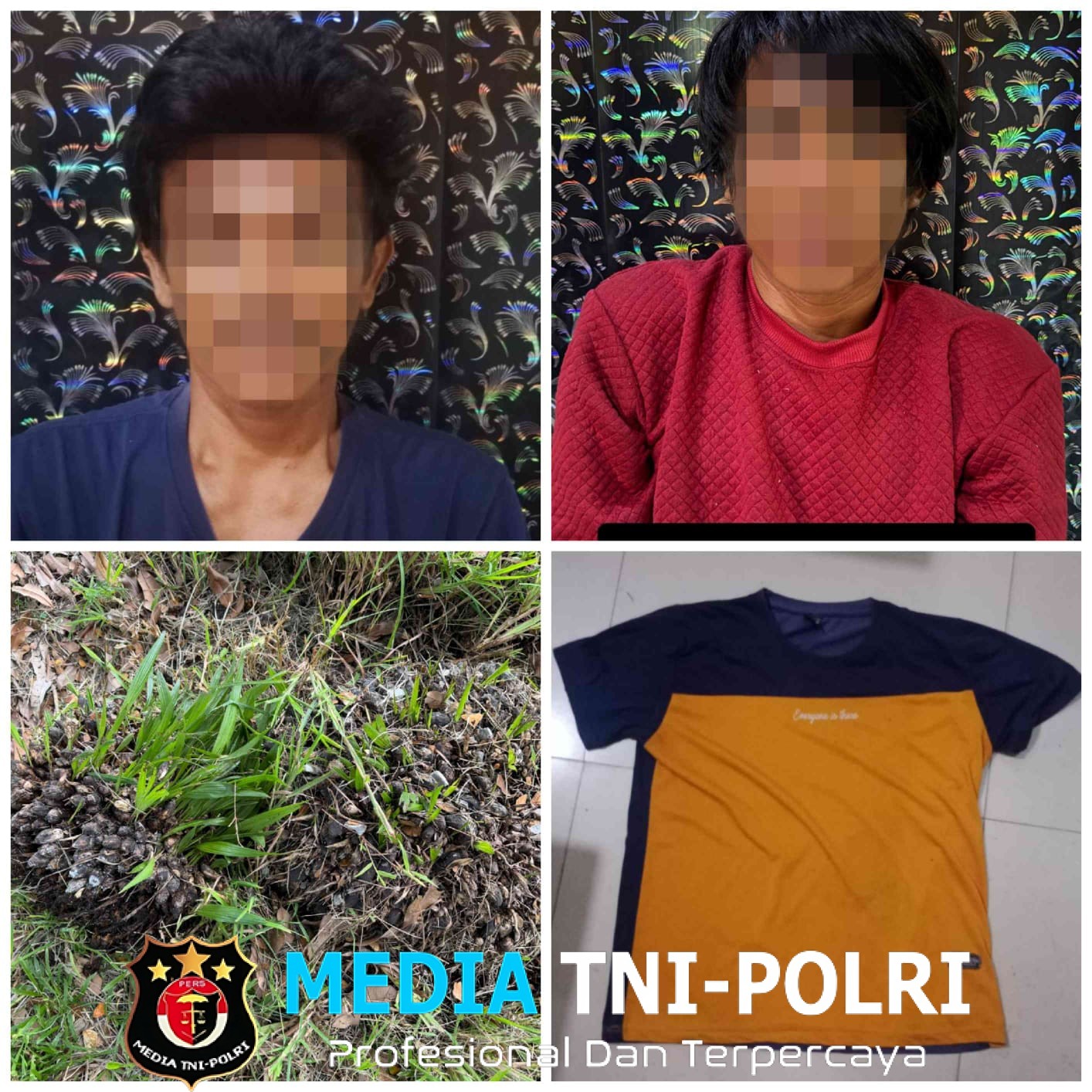 Sat Reskrim Polres Tulang Bawang Barat Amankan Pelaku Pencurian Buah Sawit Yang Meresahkan Warga di Kecamatan Gunung Terang
